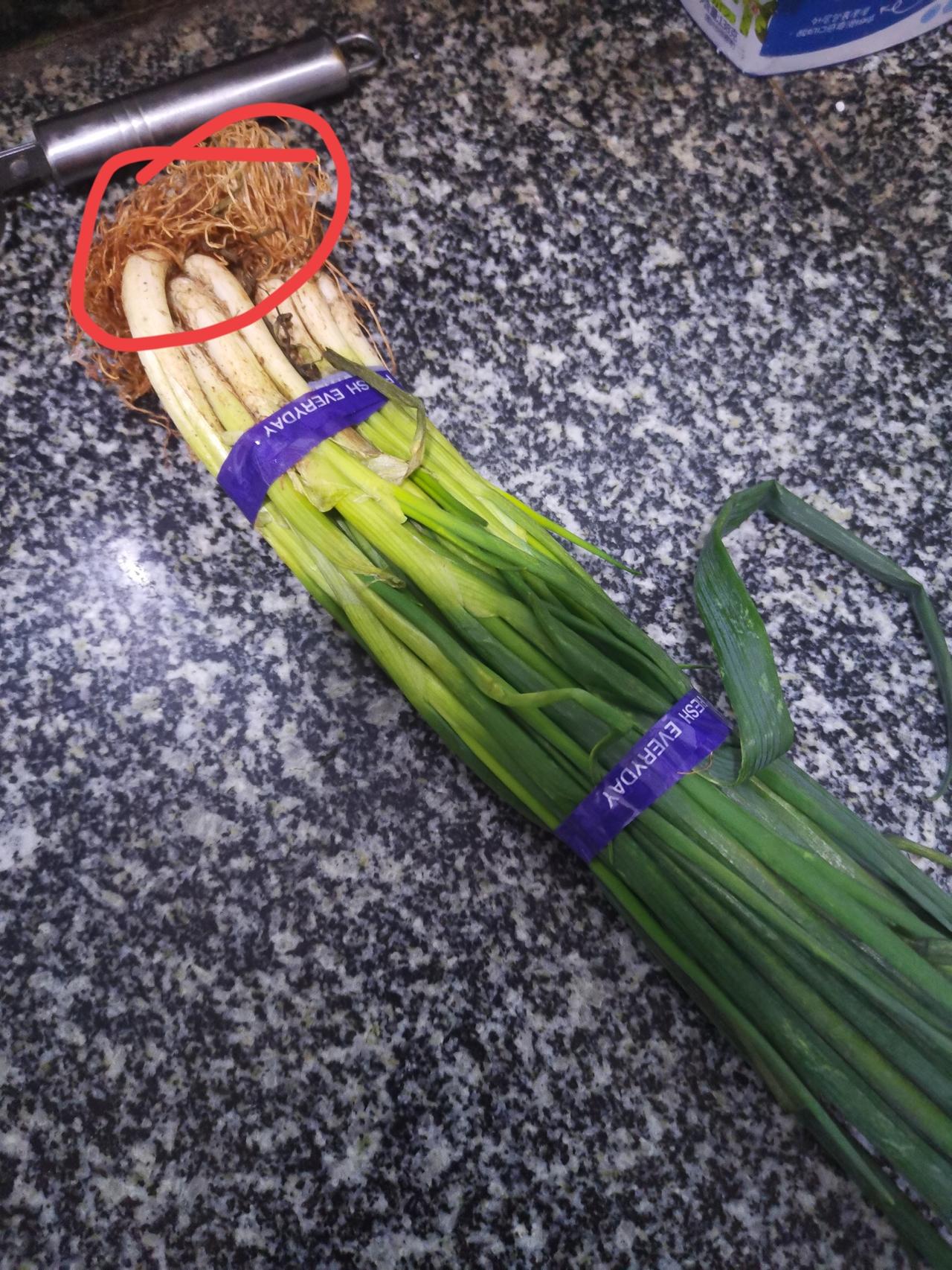 记录我的2026哈哈，翠绿翠绿的小葱，这根上的泥怎么是红色，是在红土地种的吗？红