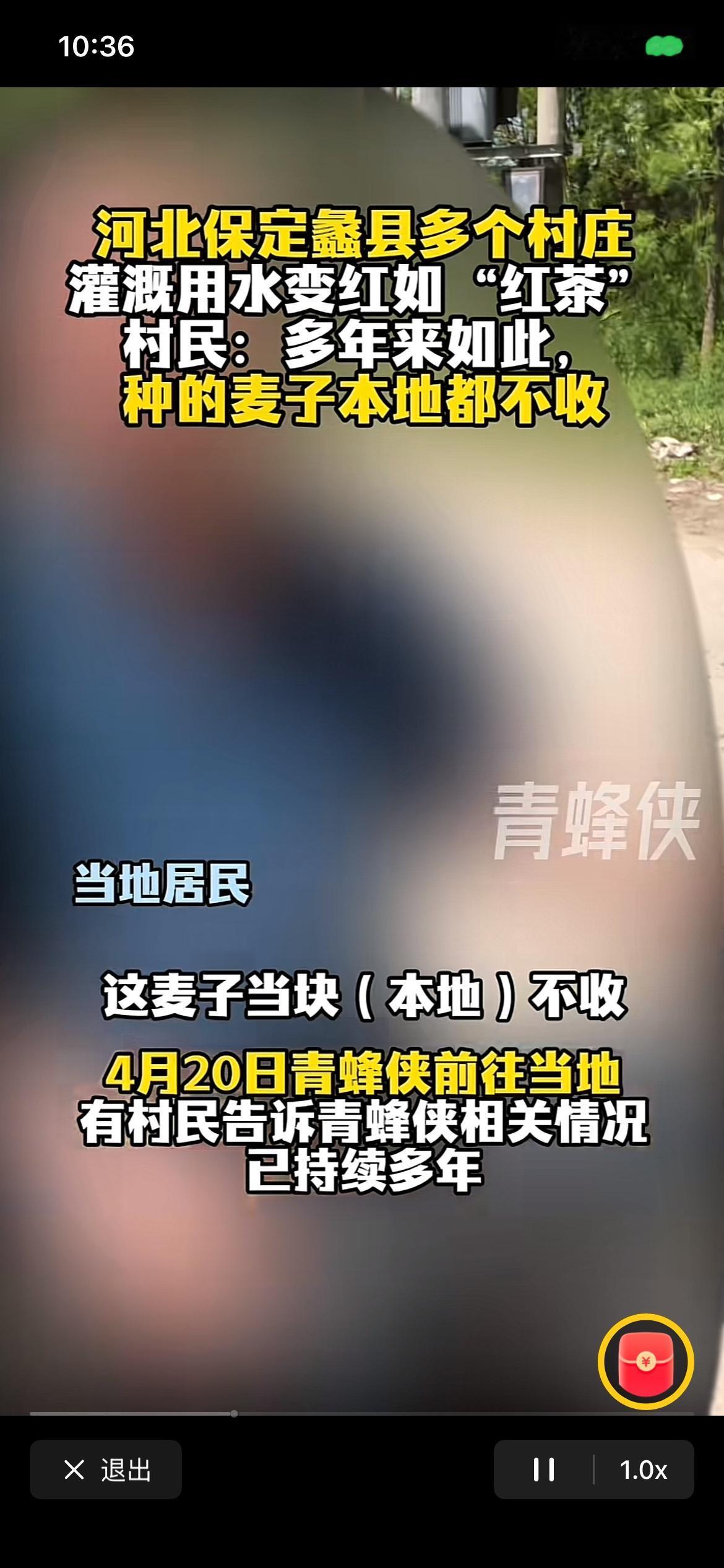 冰红茶表示很无辜。
按照目前公开信息显示，本地人不敢吃、不敢收小麦，喂给鸡鸭等家