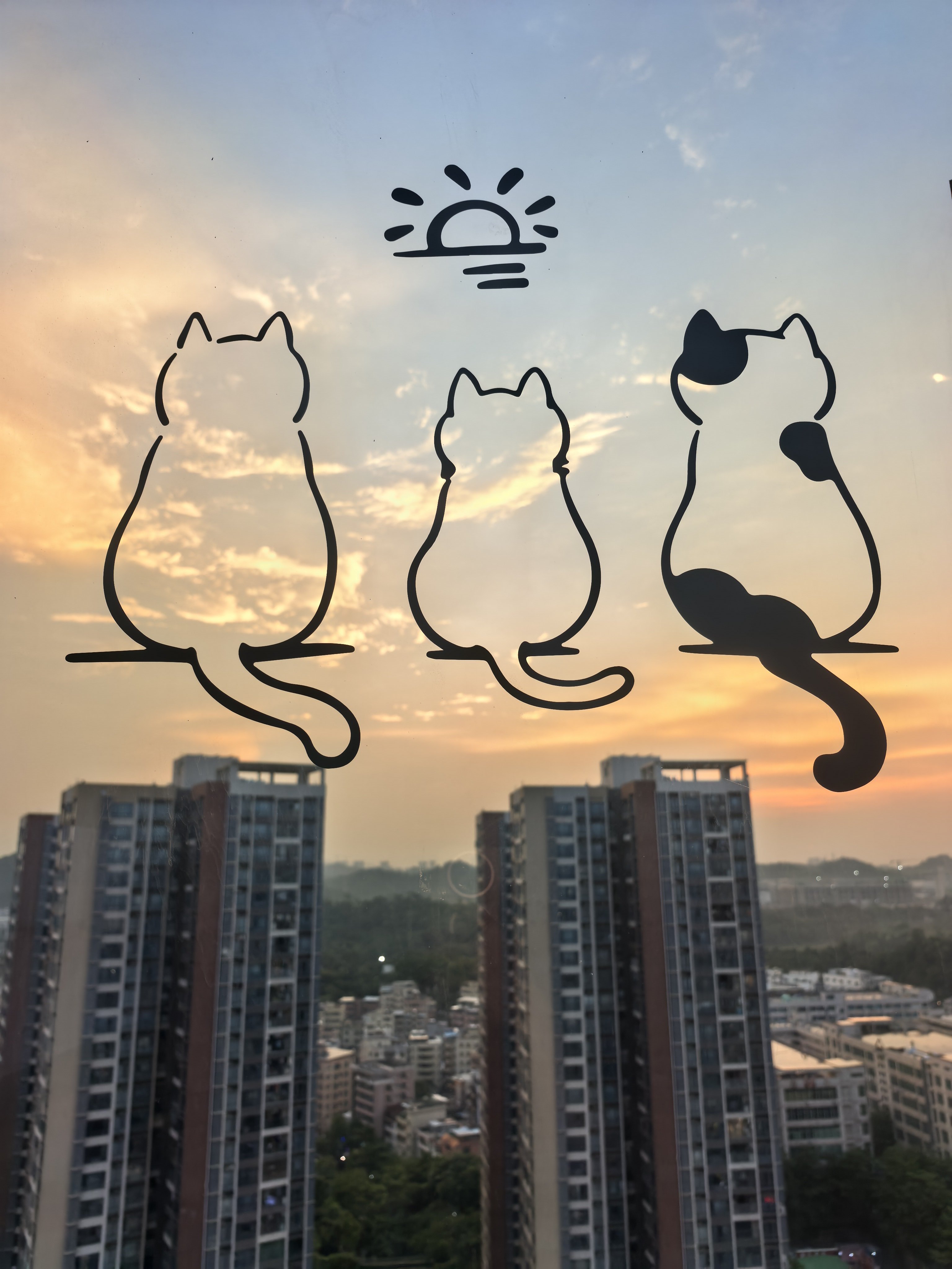 买了个窗户贴纸 