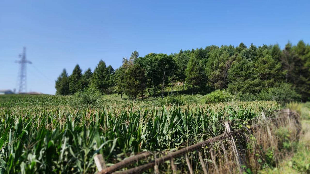 短篇小说《催 债》
                  作者——红岩
  解放前