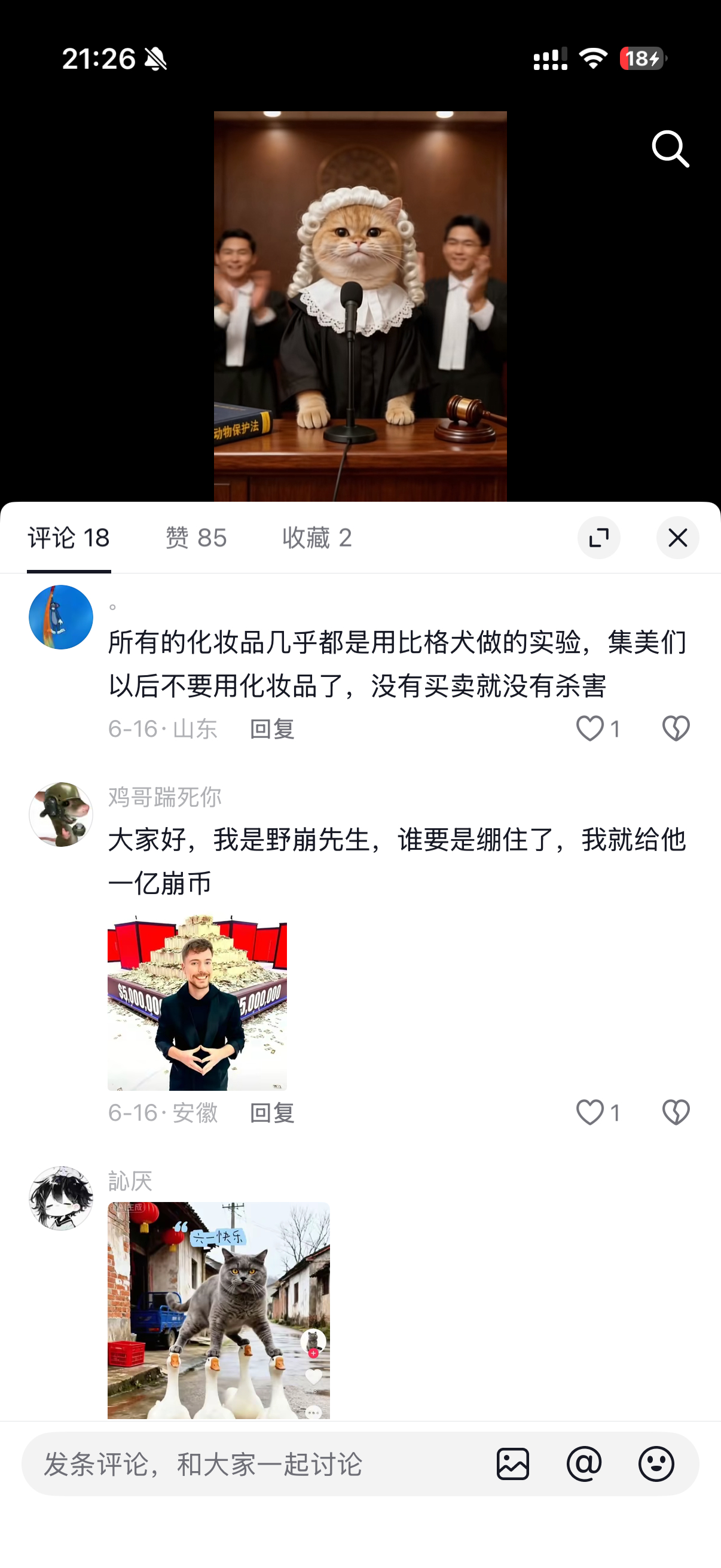 现在的网络环境有多差呢 就是我们六月份在辛巴要发财的账号上发了有关保护动物的ai