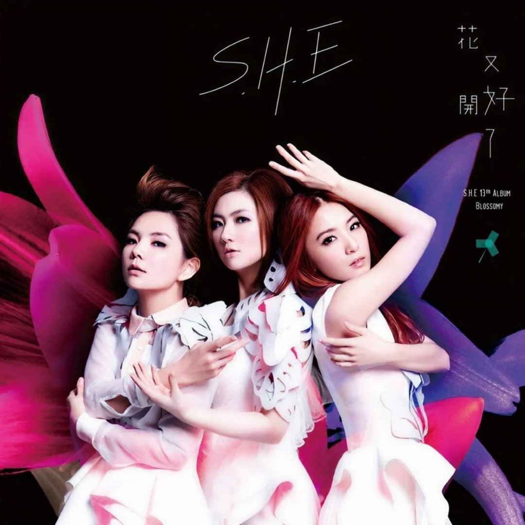 失败了太多次。 怎么能开心起来。 S.H.E《明天的自己》明天的自己 