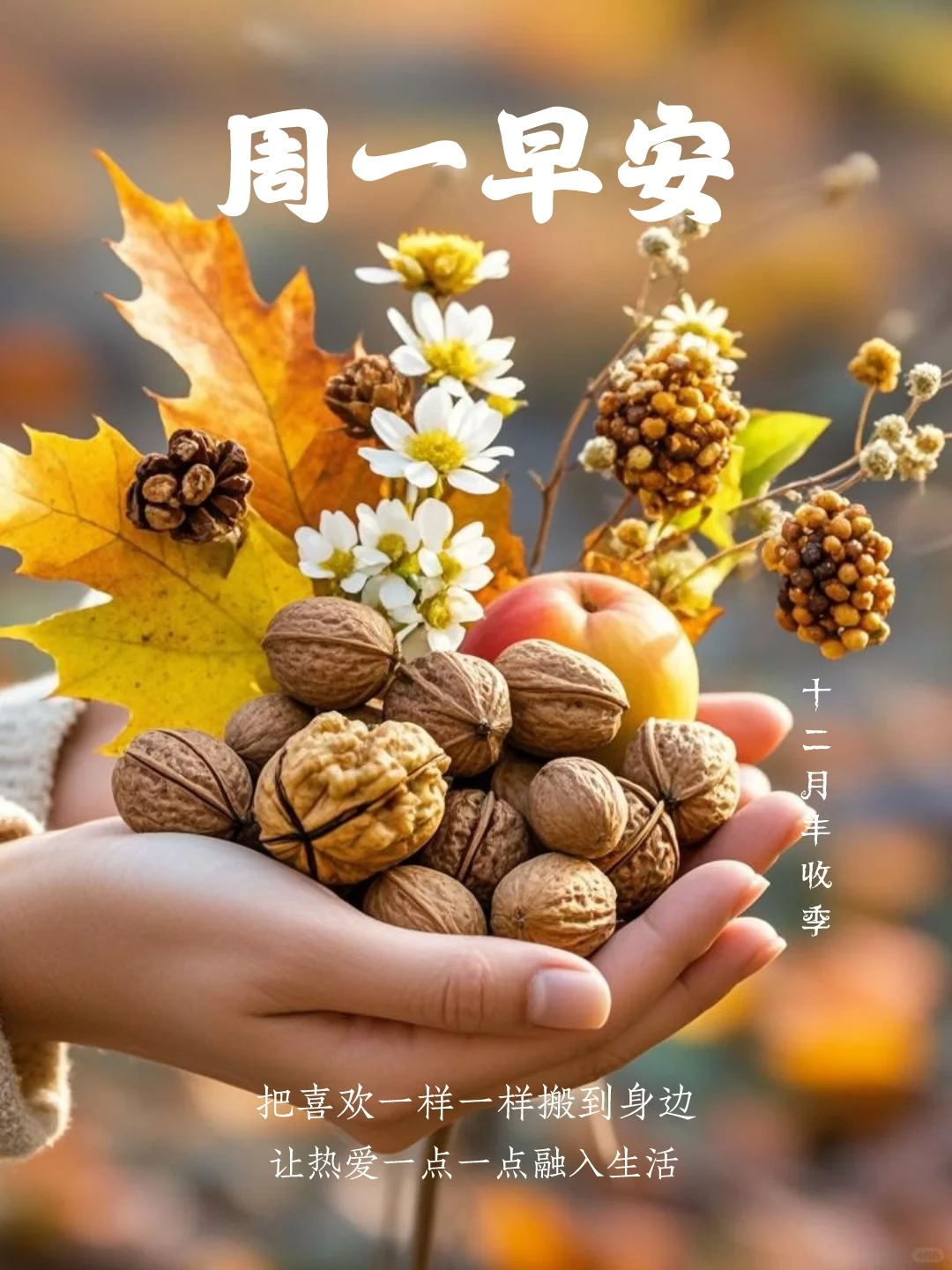 早安语录｜周一早安｜小众文案｜早安海报