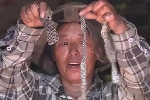 2006年，黑龙江一女子睡觉时，一条大蛇钻进了她的被窝，女子心软没把它赶走，谁知