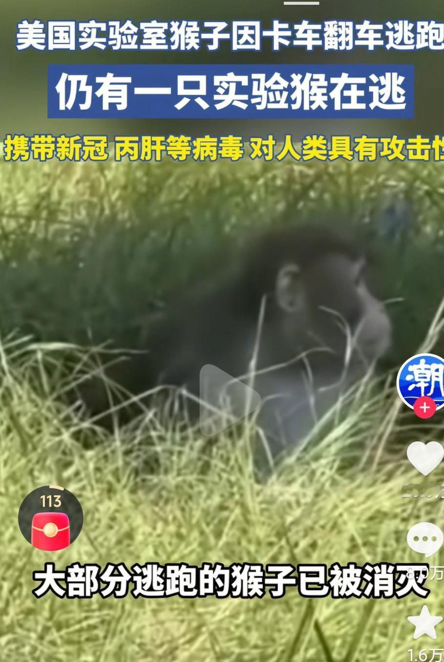 美国佬怎么这么坏呢？真的是丧尽天良啊，美国佬真的要从这个地球消失才好啊，真的是太