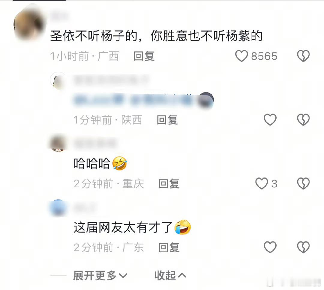 这届网友是真有梗！此“胜意”非彼“圣依”，此“杨紫”非彼“杨子”要知详情，请看国