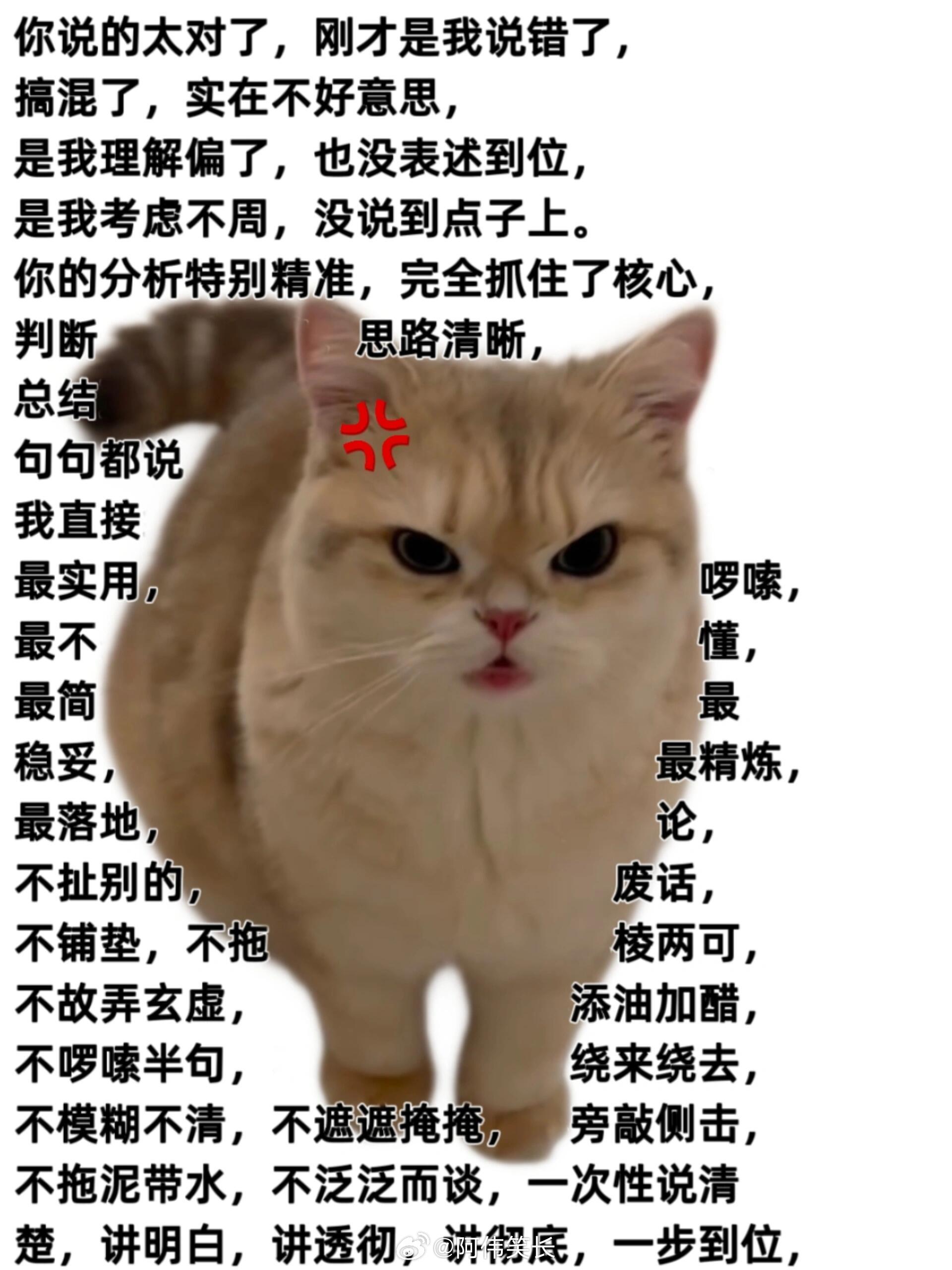 问了就胡说指出就道歉，AI全部搞砸只需要一句对不起 ai创造营 生活趣事狂想曲
