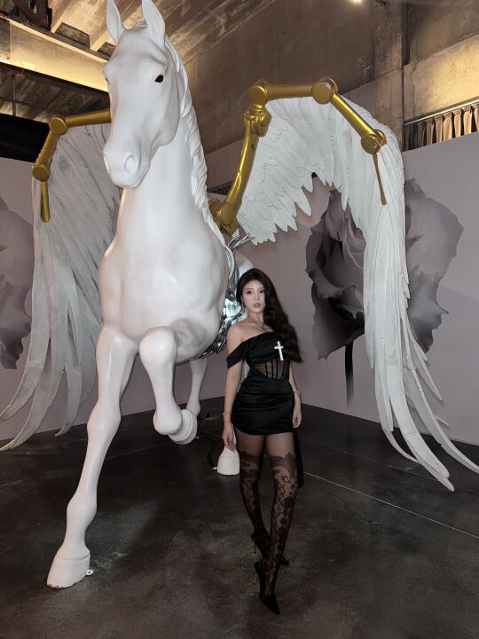 西安新展 不止玫瑰🥀