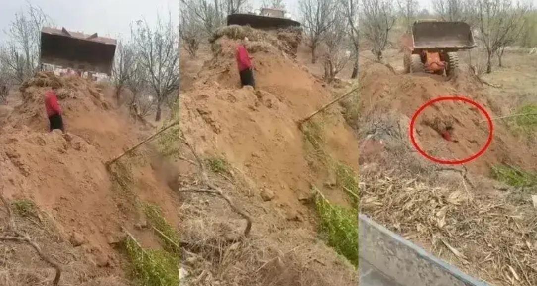 这位在光天化日之下明目张胆开着铲车活埋村民的前支书，无疑涉嫌犯下寻衅滋事罪，但同