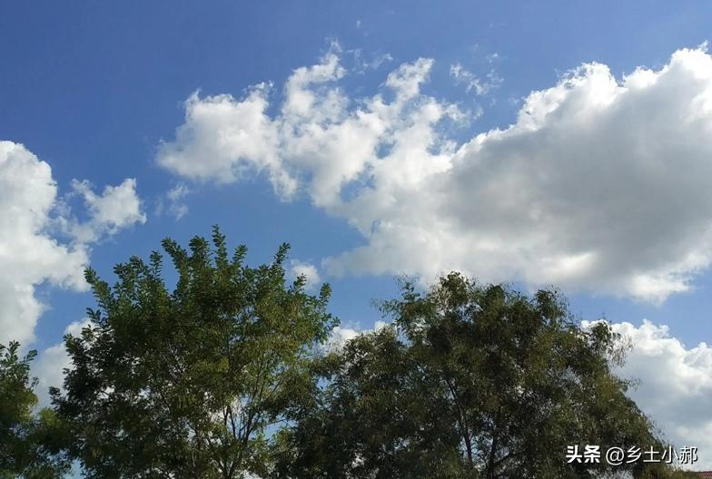 不是迷信！今日六月廿六，记得白天3不做，晚上4注意，老传统别忘
 
老一辈流传下