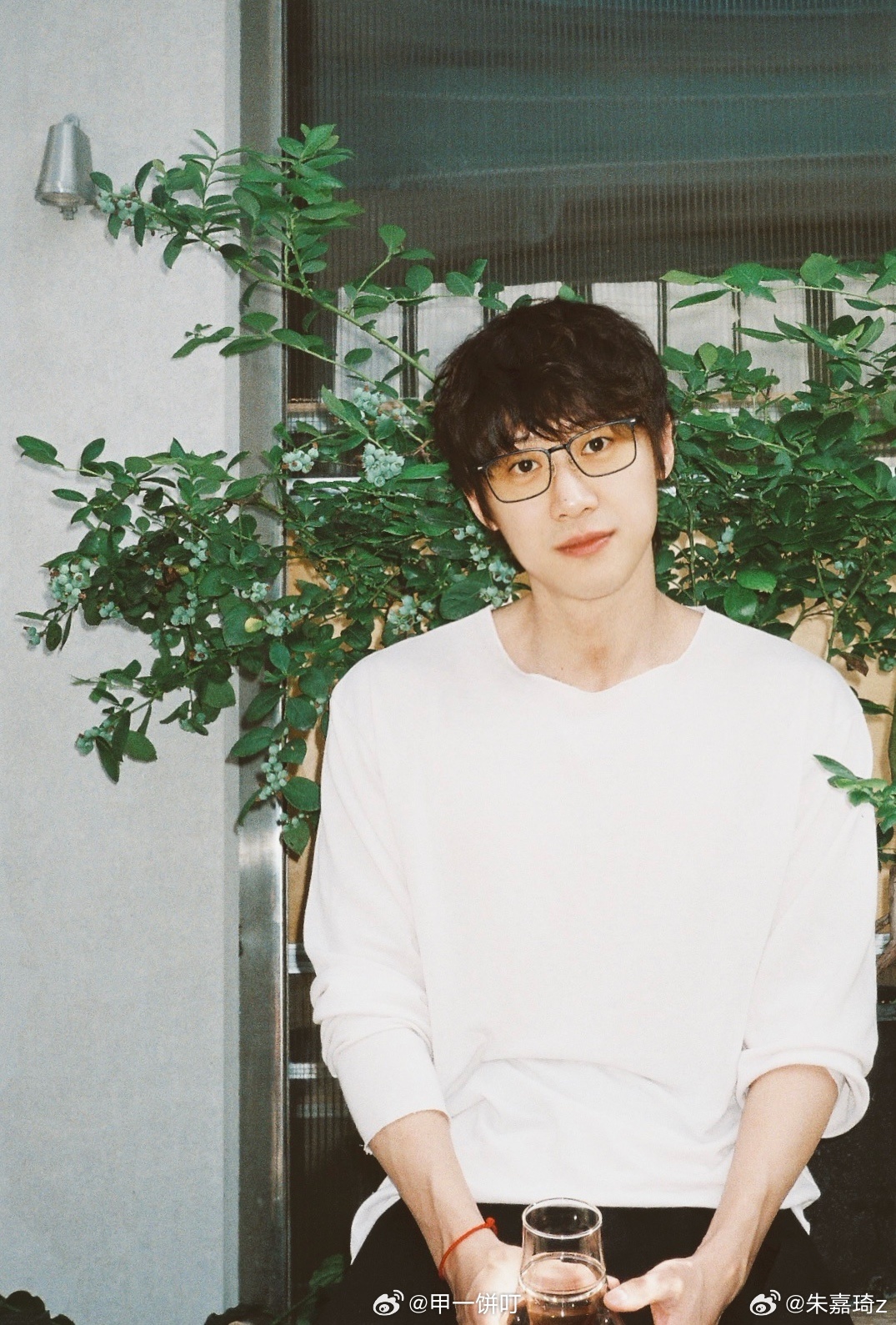 电视剧《玫瑰之饵》领衔主演（按姓氏笔画排序）：马梅芷（夏梦）、朱嘉琦总导演：滕华
