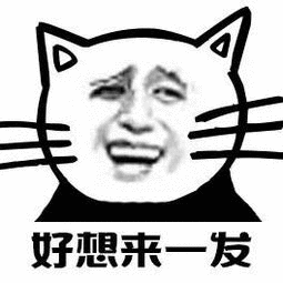 五月天324彩排特别场          希望今年能等到一个五月天 