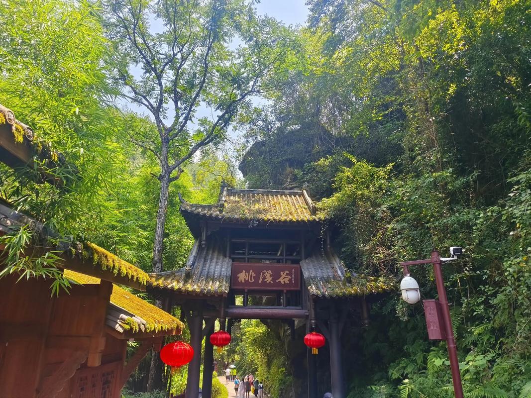 四川文旅来青岛摇人了 四川文旅空降青岛送惊喜！整座岛城换上川味限定装扮，浮山湾楼
