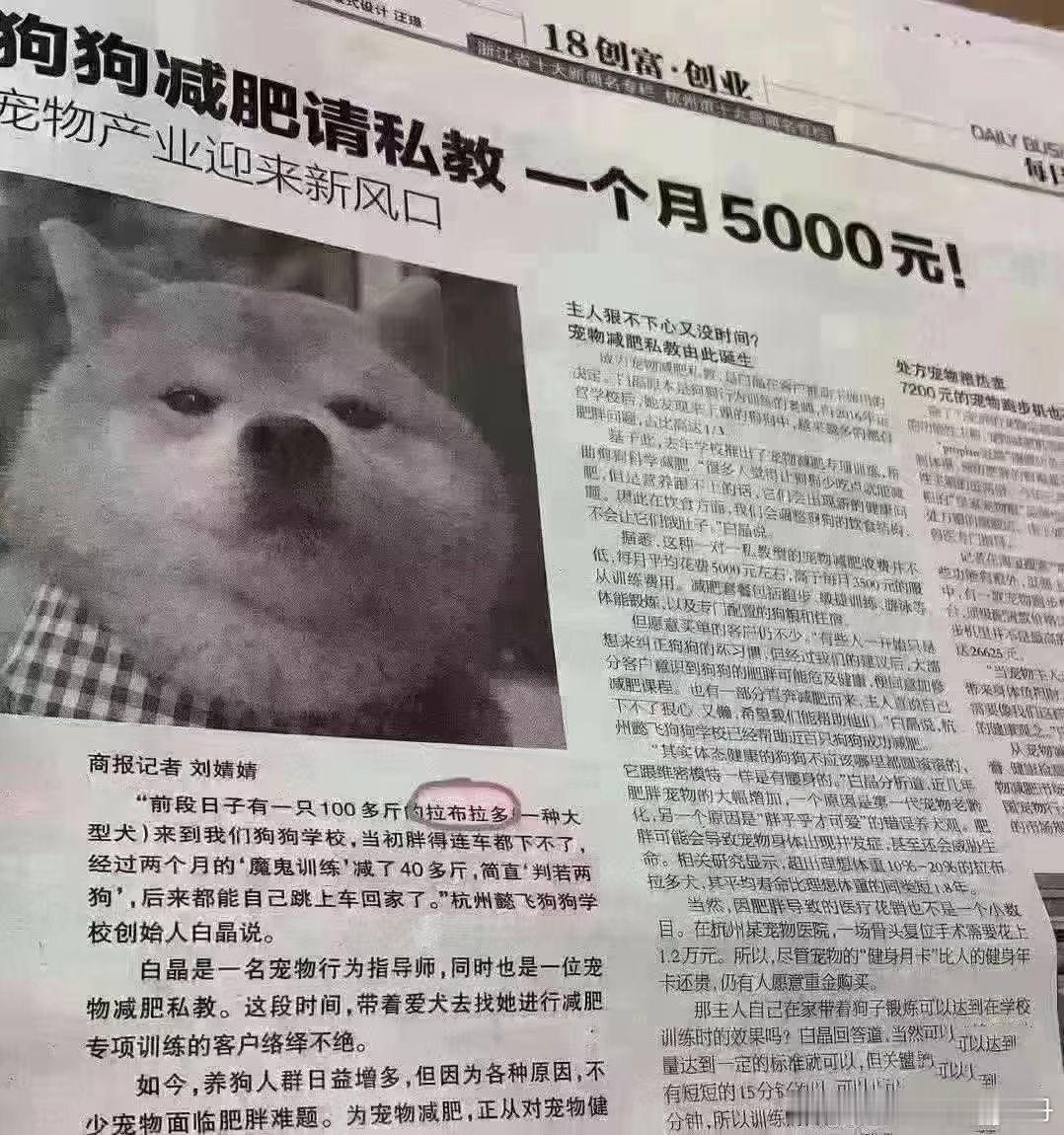 给狗狗请私教减肥倒也不奇怪但“主人狠不下心又没时间”………这个感觉怎么似曾相识[