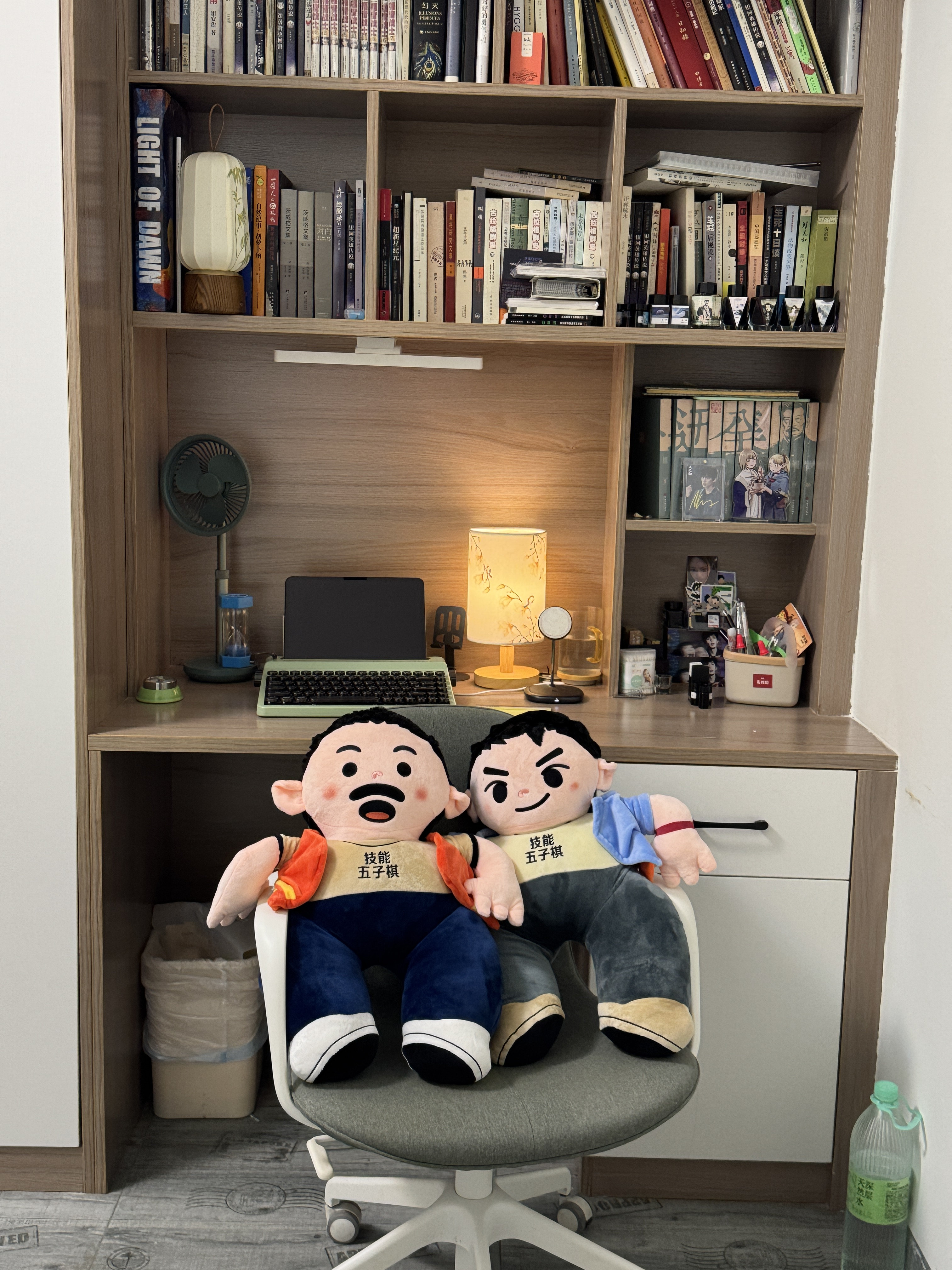 室友买了一对抱枕……看不懂。 