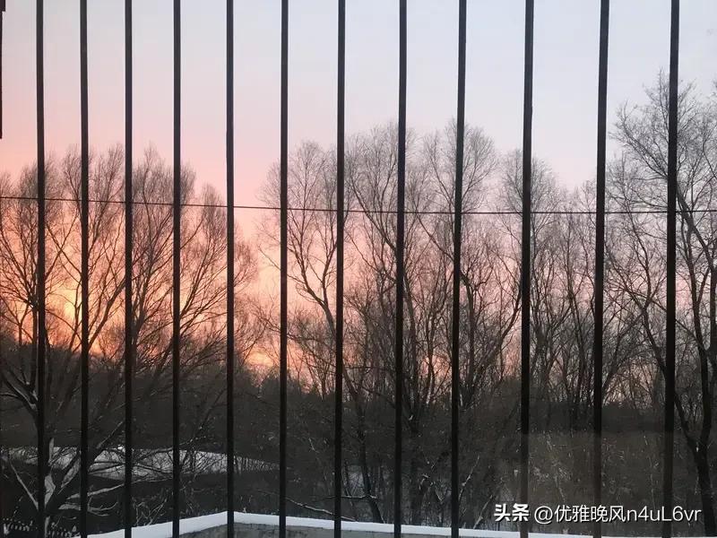 小陈与小周大学同窗，毕业后入职同家公司。小陈下班后沉迷追剧、打游戏，工作敷衍；小