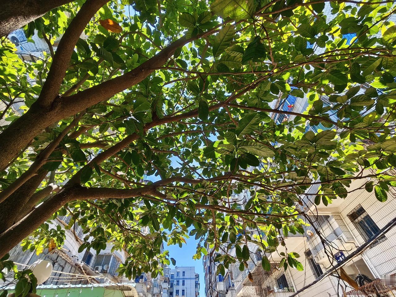 核心实话摆在眼前：读者看文章，不是为了欣赏华丽词藻，而是想学方法、避坑、解迷茫。