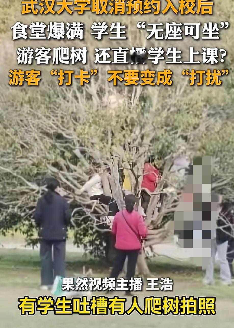 看得人直冒火！5月19日，齐鲁晚报报道，武汉大学取消校外人员预约入校限制后，校园