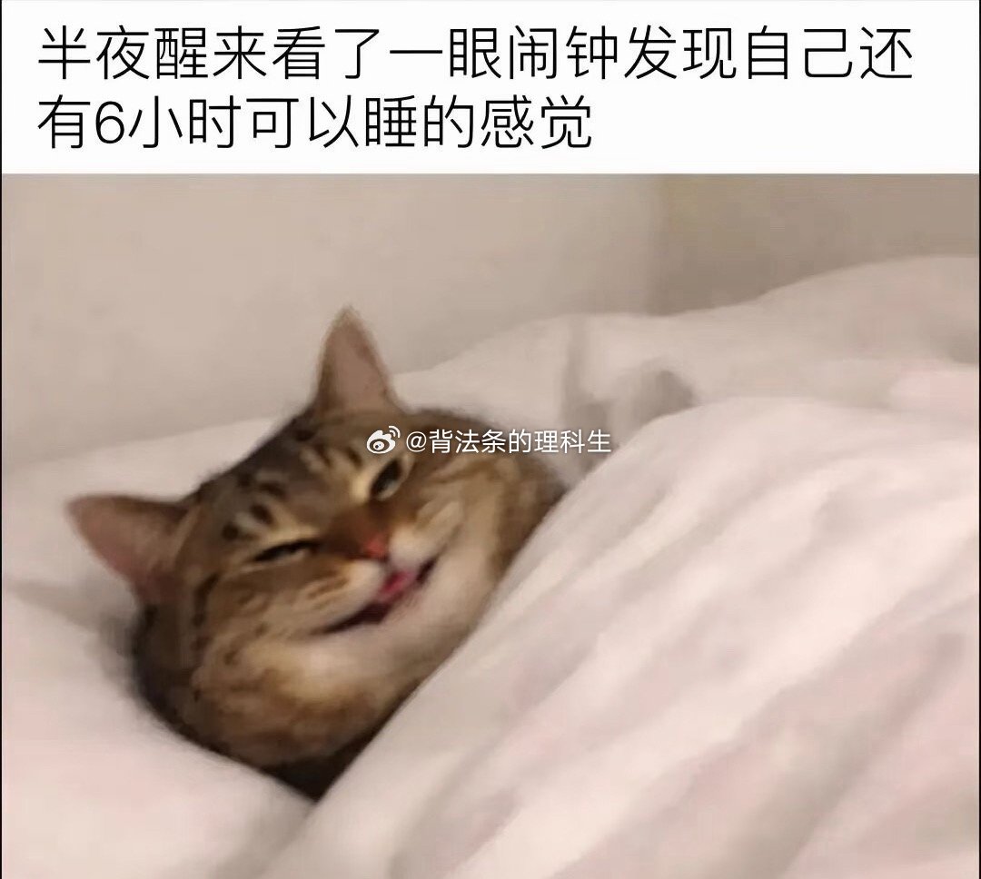 我昨晚十点多就睡了，一觉睡到八点感觉自己好不自觉 