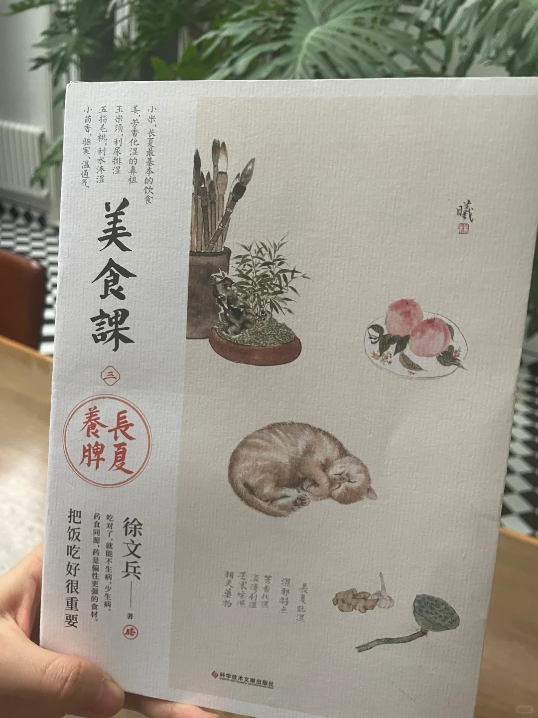小米，长夏最基本的饮食