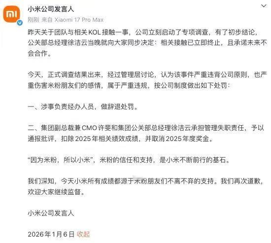 这处罚有点重了吧，许斐、徐洁云辛辛苦苦一年白干了，王化调岗去武汉躲过一劫 