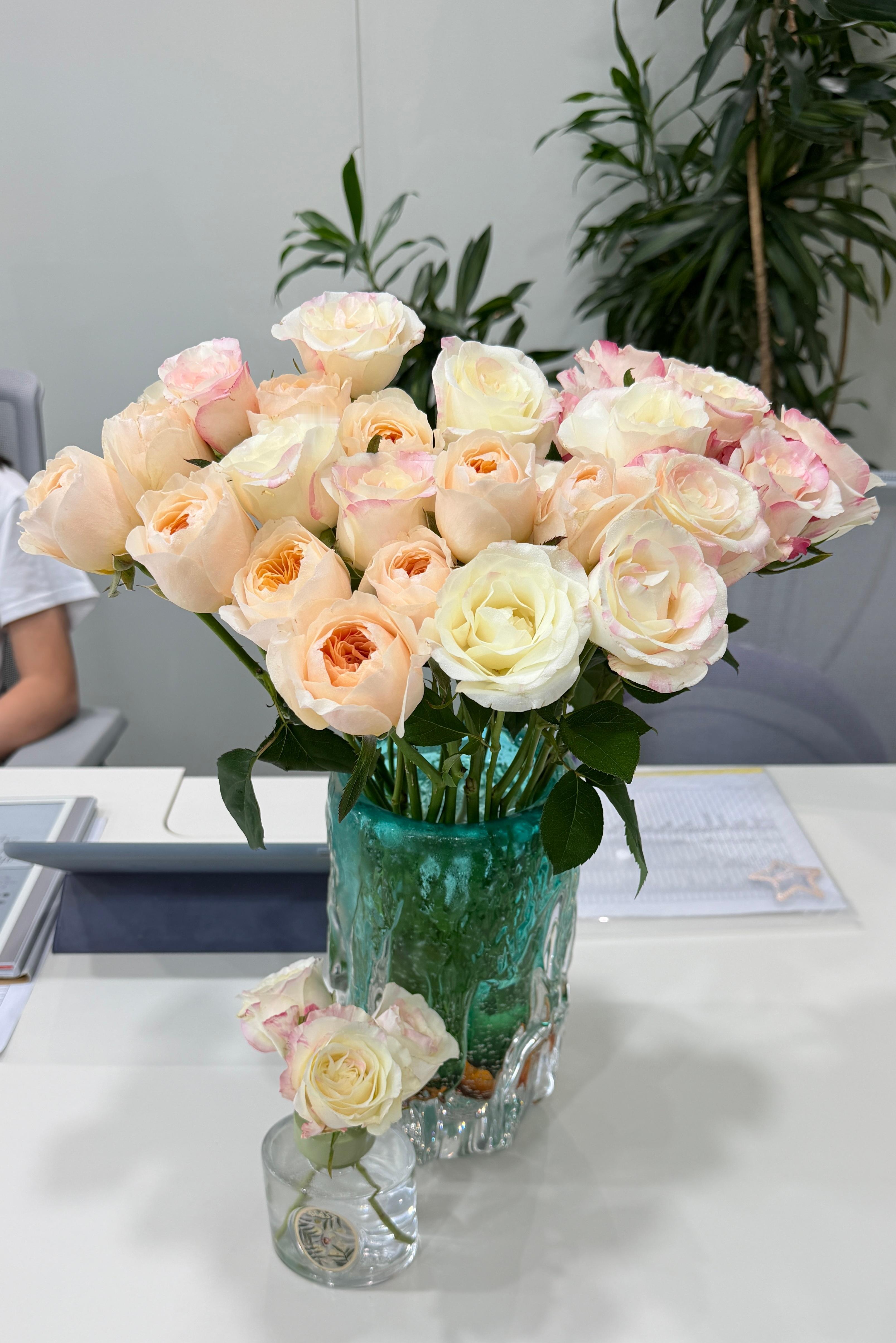 新的花花是朱丽叶和霓裳(ﾉ•ヮ•)ﾉ🌺本周还有上上周超长待机的兽花马以及上周的