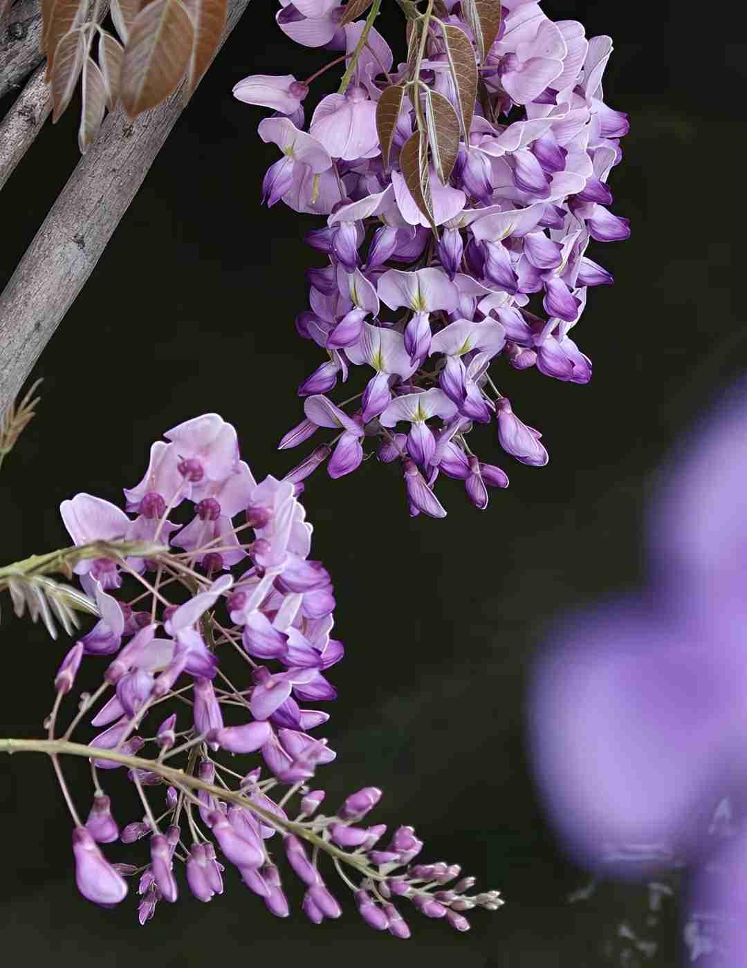 我的今日状态：😁轻松愉快
我这里的天气：🍂微风