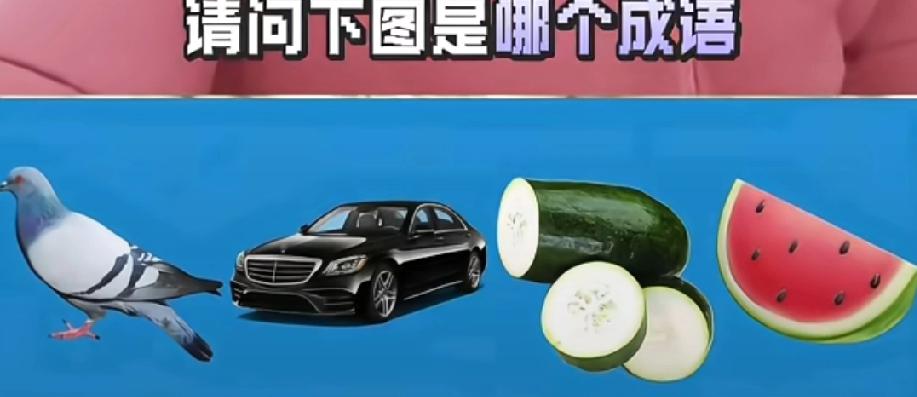 鸽子+奔驰+黄瓜+西瓜，这成语能猜到算我输！