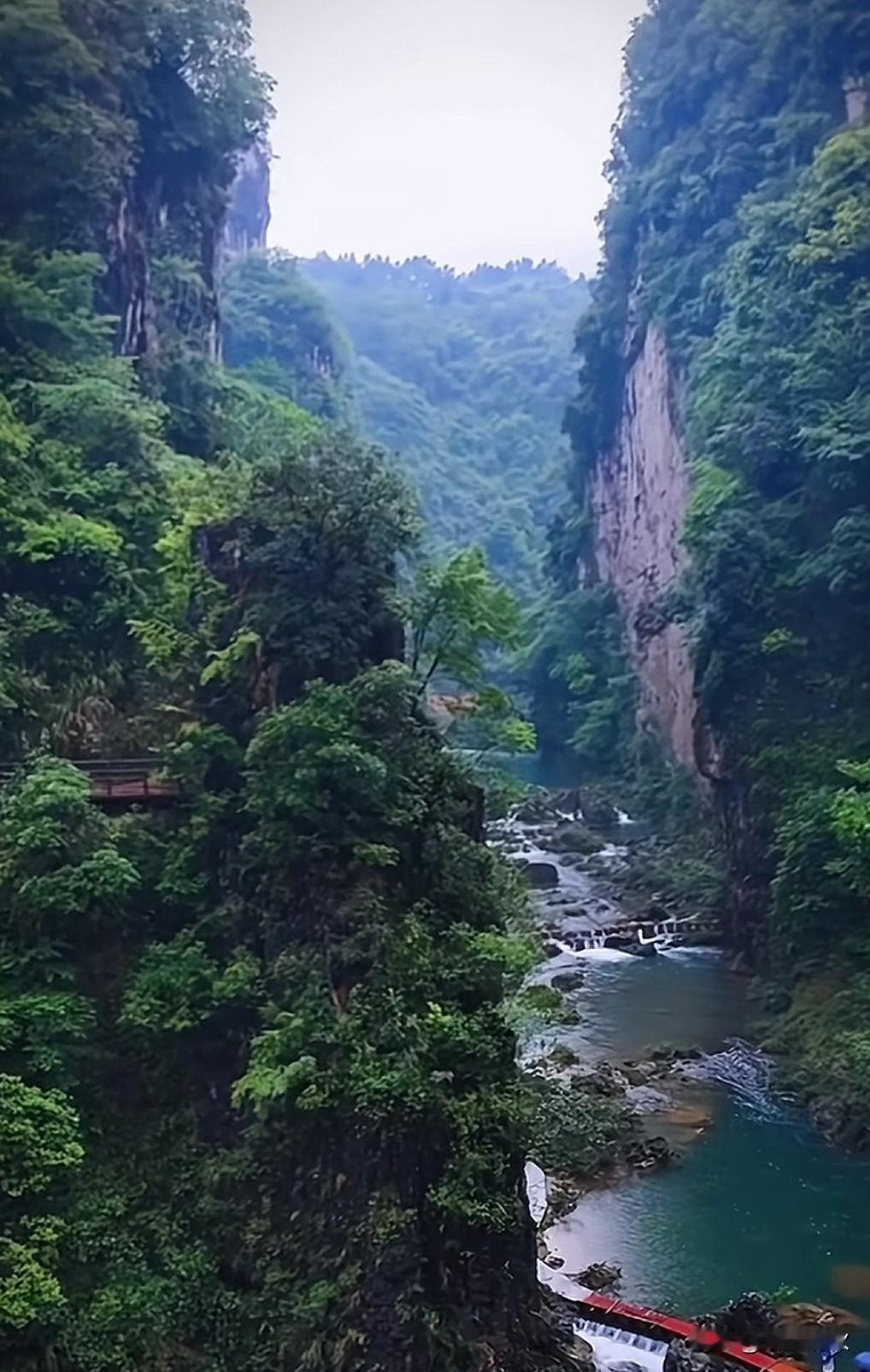 灯芯文案·【笔墨赋丹青】
           文＼浅墨清秋
三千笔墨，
难书眉
