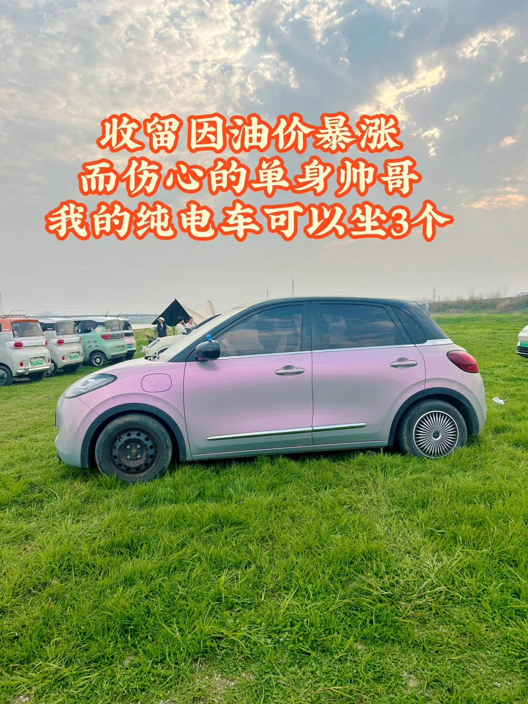 收留因油价暴涨而伤心的帅哥