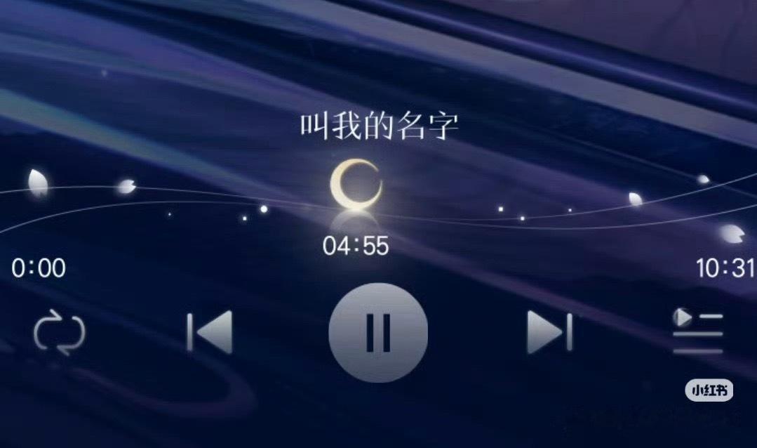 这五个字有什么必要（）（）吗？我随便上网找的，其实有很多啊，数不胜数甚至你顾是纯