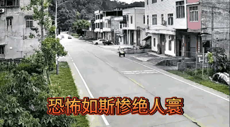 请用一句话，评价这场车祸。[吃惊] 