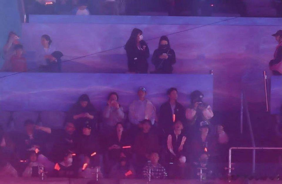 张极又去看张杰演唱会了张杰说张极好帅啊 张极又双叒在张杰演唱会了！专注听歌的乖崽