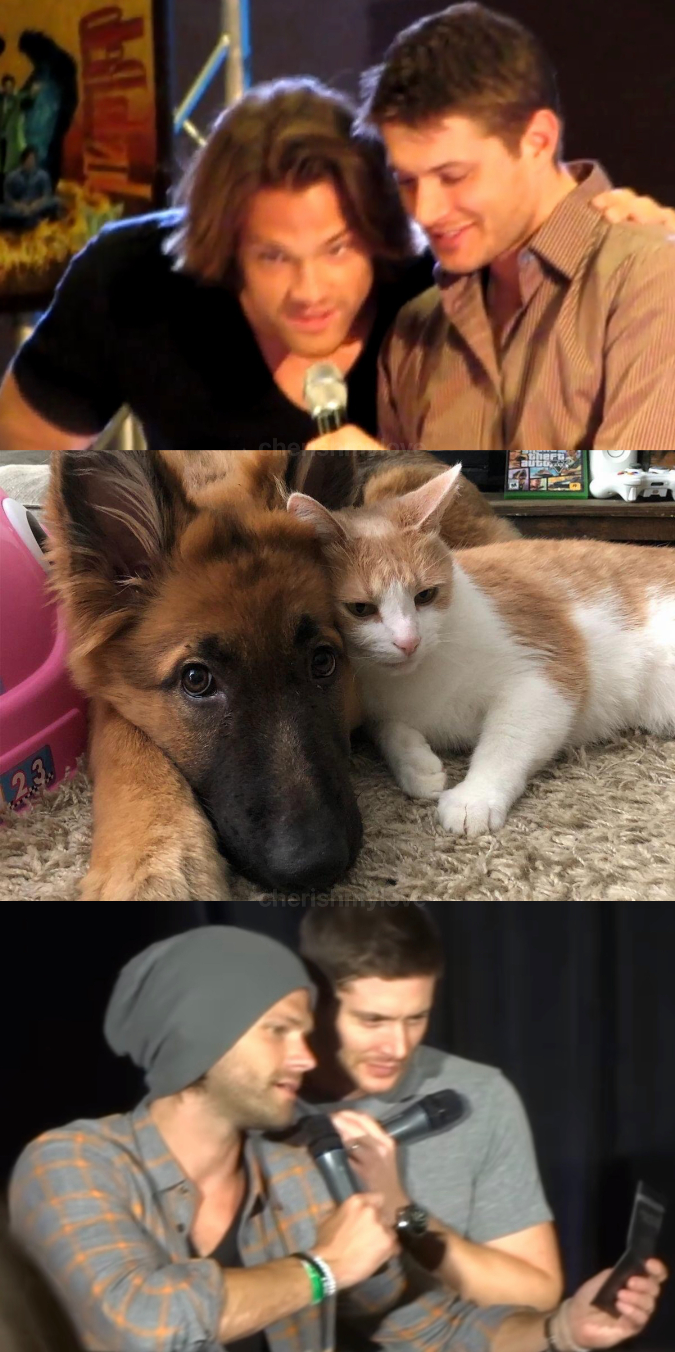 ><