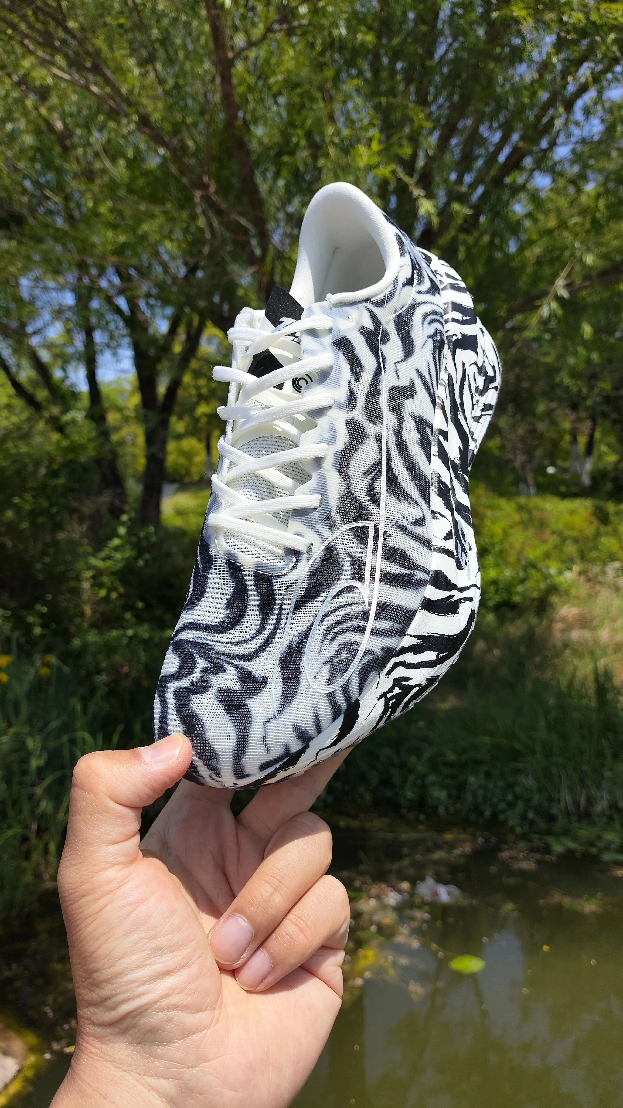 一句话点评一下下【飞影PB5-白虎】