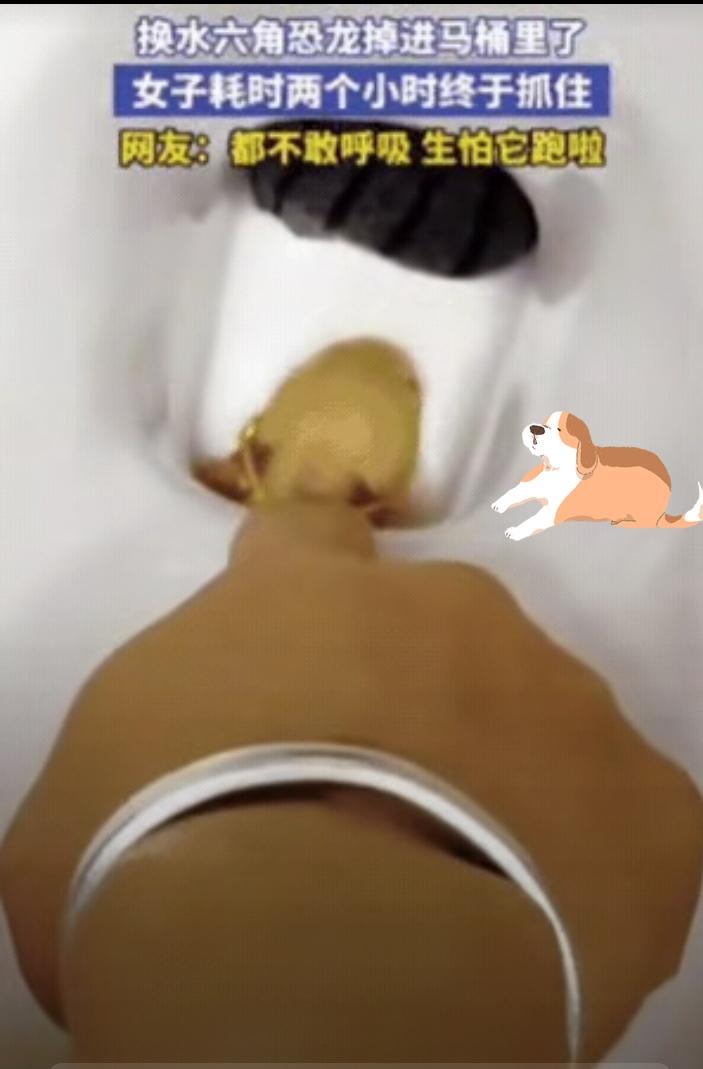 不忍直视！吉林一女子上完厕所，直接将手伸进马桶，一扣就是2小时，原来，她上完厕所