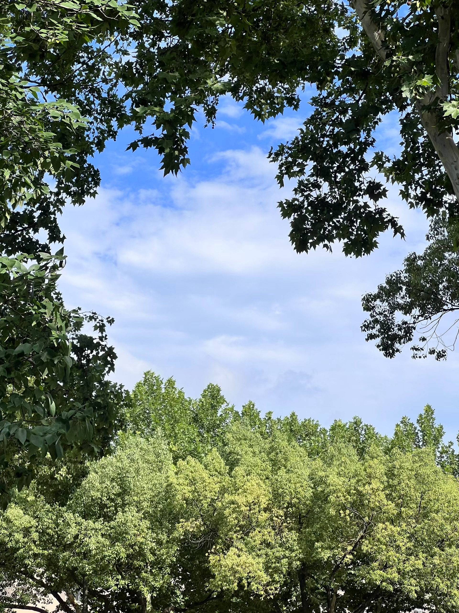 人间所有美好，都藏在日复一日的努力里。不必纠结一时得失，低谷是蓄力的契机，坎坷是