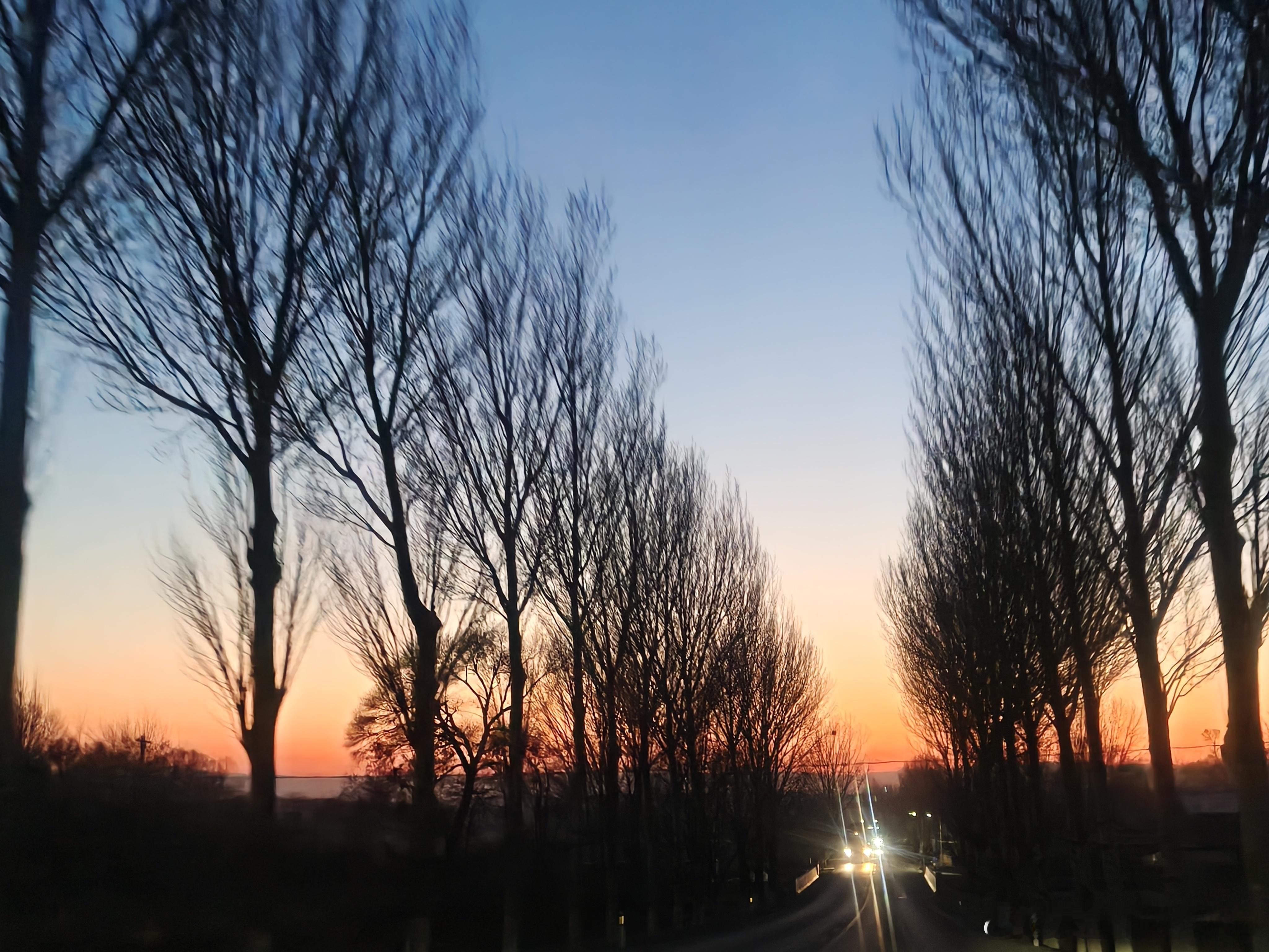 慢一点，没关系！只要是向上的路，每一步都值得欢呼。 ​​​