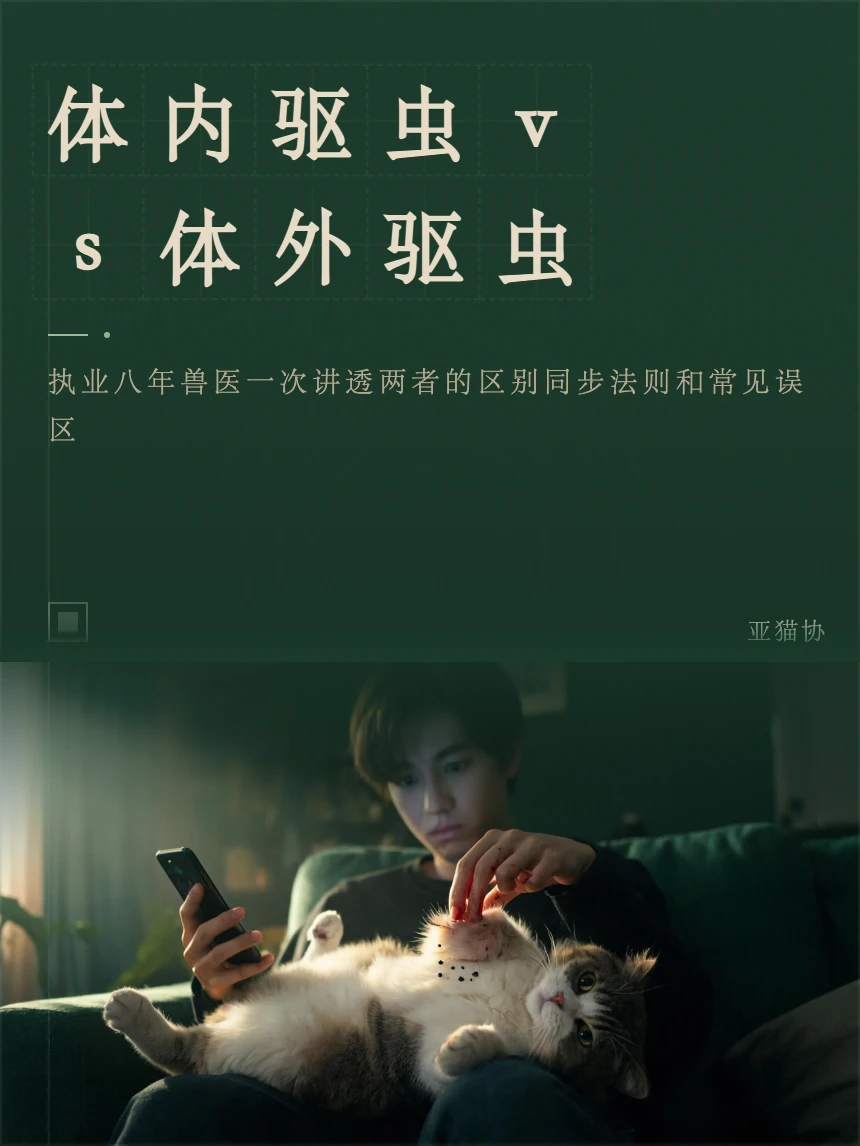 体内驱虫vs体外驱虫