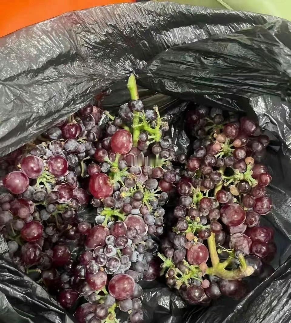 没见过这么扣的邻居，不想送就不要送，还送些烂的 