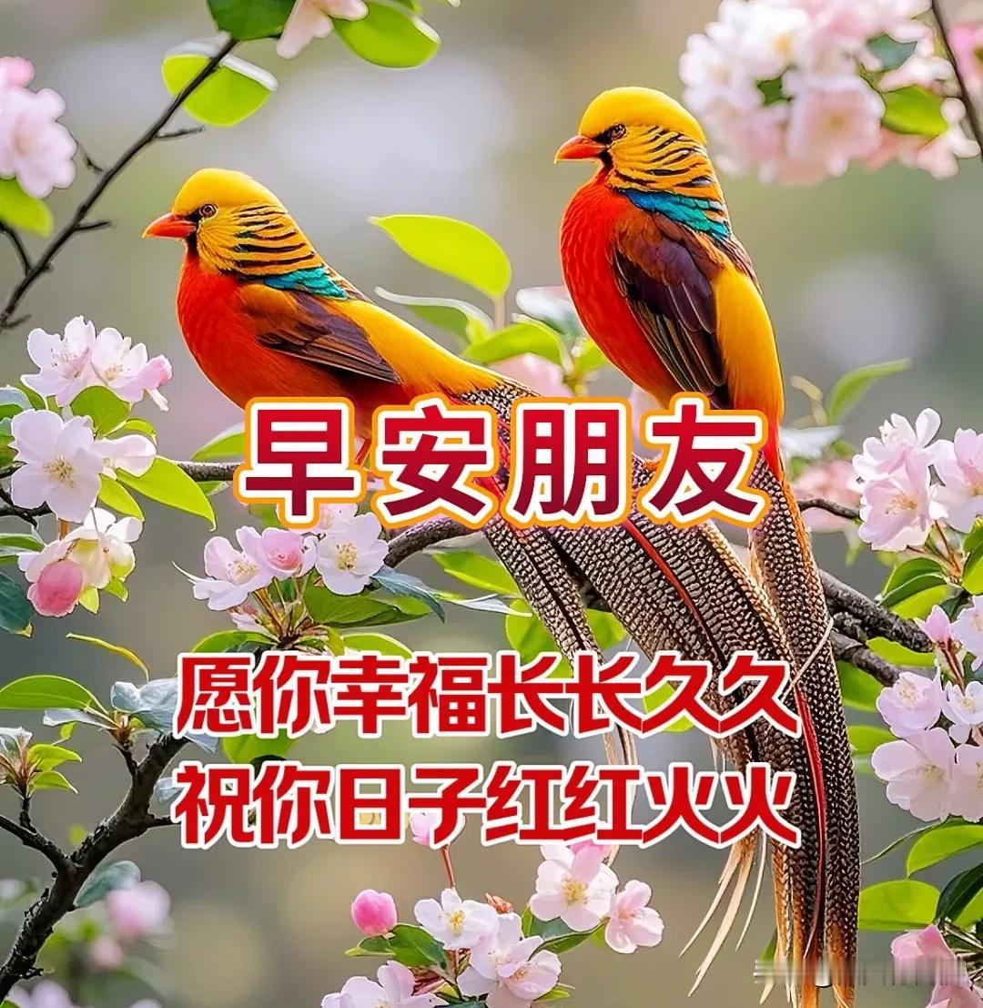 2月14日-最新早安祝福语图片，最美的正月十七祝福语图片精选

今天是正月十七，