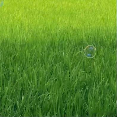 0000每一个人都可以成为生活中的阳光。用我们的微笑、用我们的善良、用我们的热情