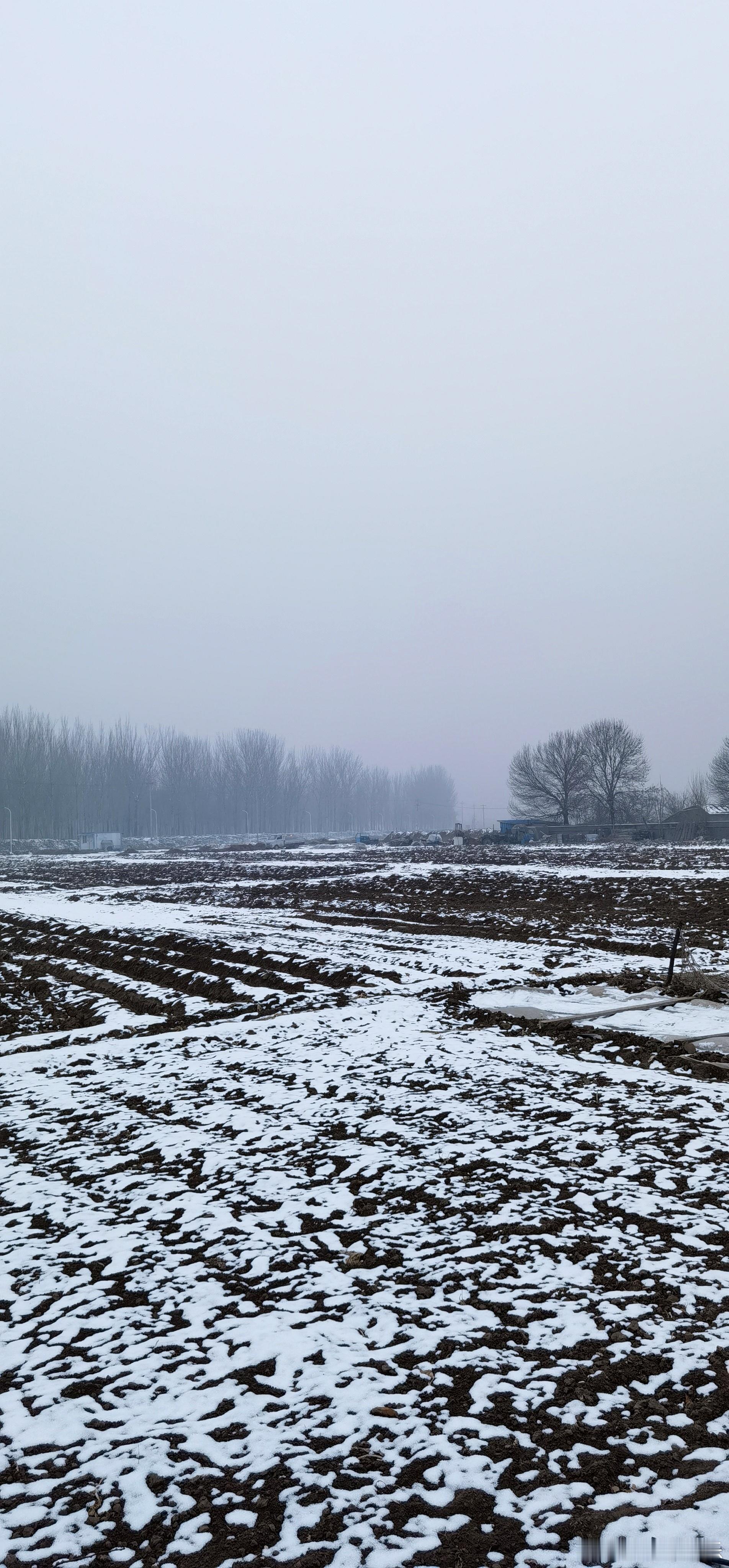 #张颂文镜头下的北京初雪#积雪是北方的常态，下雪却不是常见，感谢张颂文与我们分享