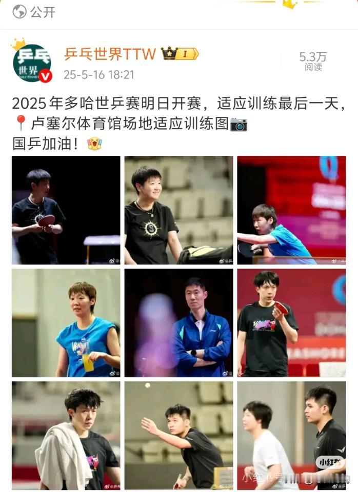 正中间C位的大力这是打哪个项目？[笑哭]
调皮的网友说打舆论战[捂脸]
不是不突