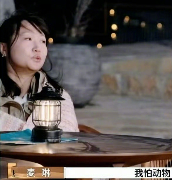 马被麦琳开除动物籍 麦琳说自己怕动物却骑马，马被麦琳开除动物籍 了 