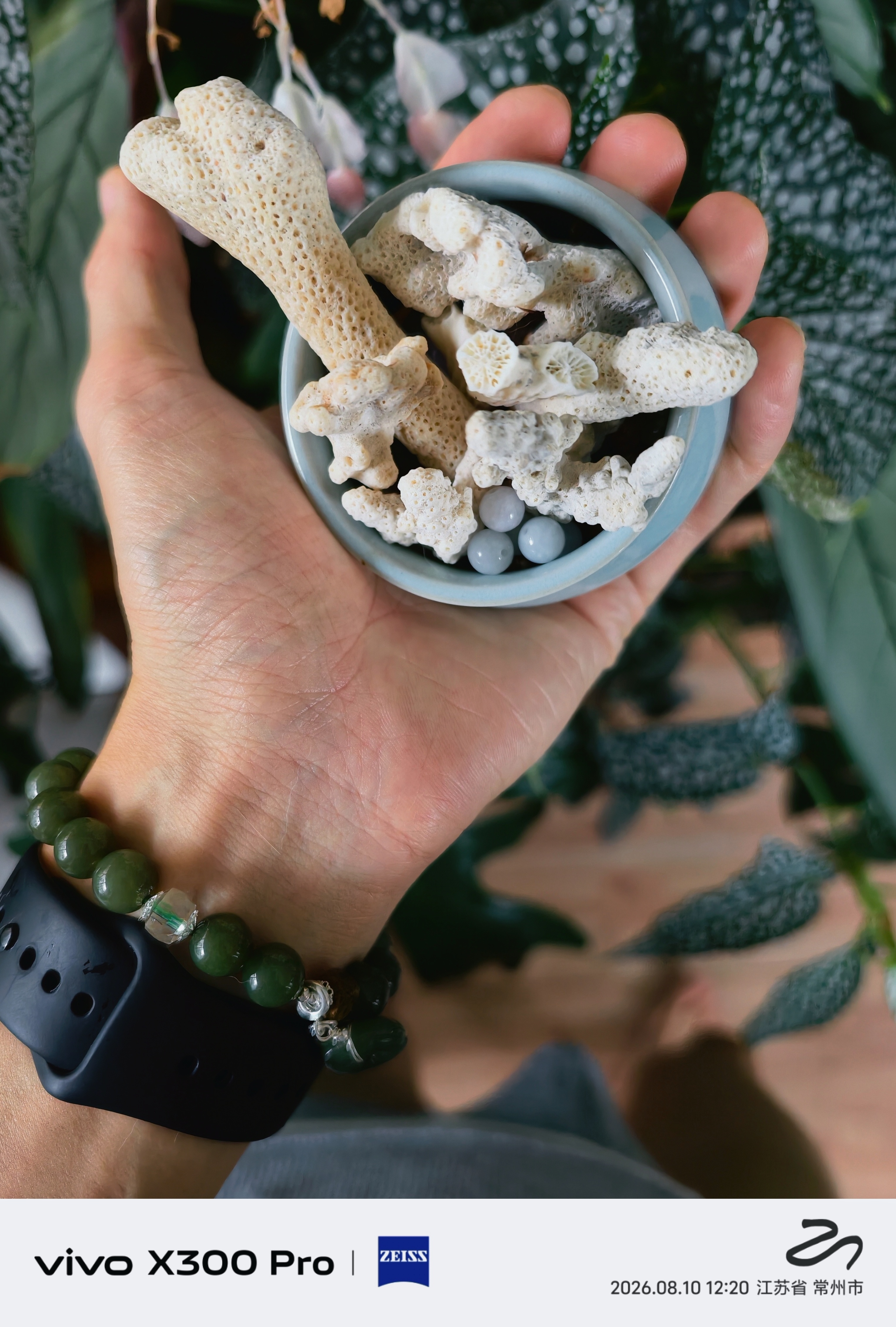 分享图片 