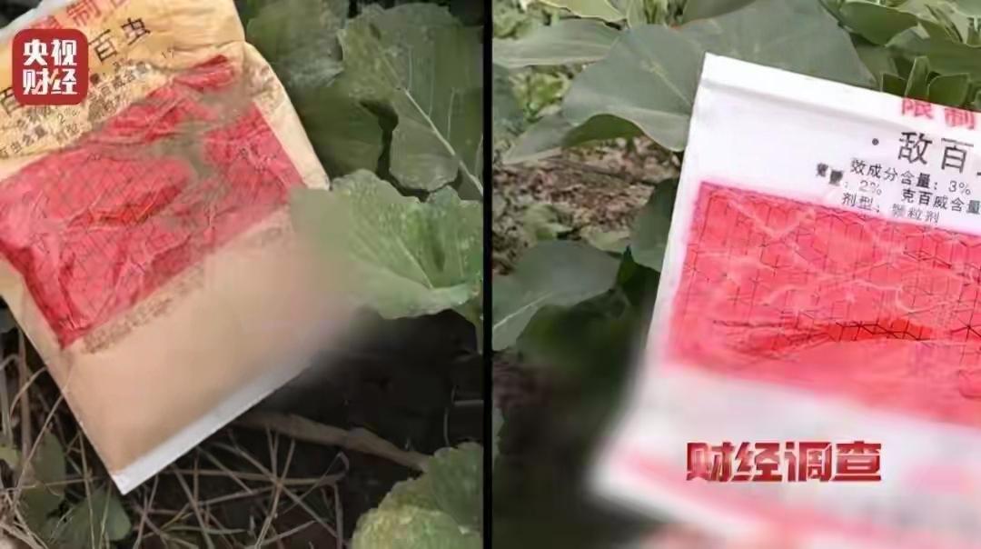 近日老百姓的菜篮子有点重，提得小心翼翼！大家最担心的莫过于买到毒白菜，0.08克