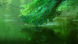 小歌迷最爱科技