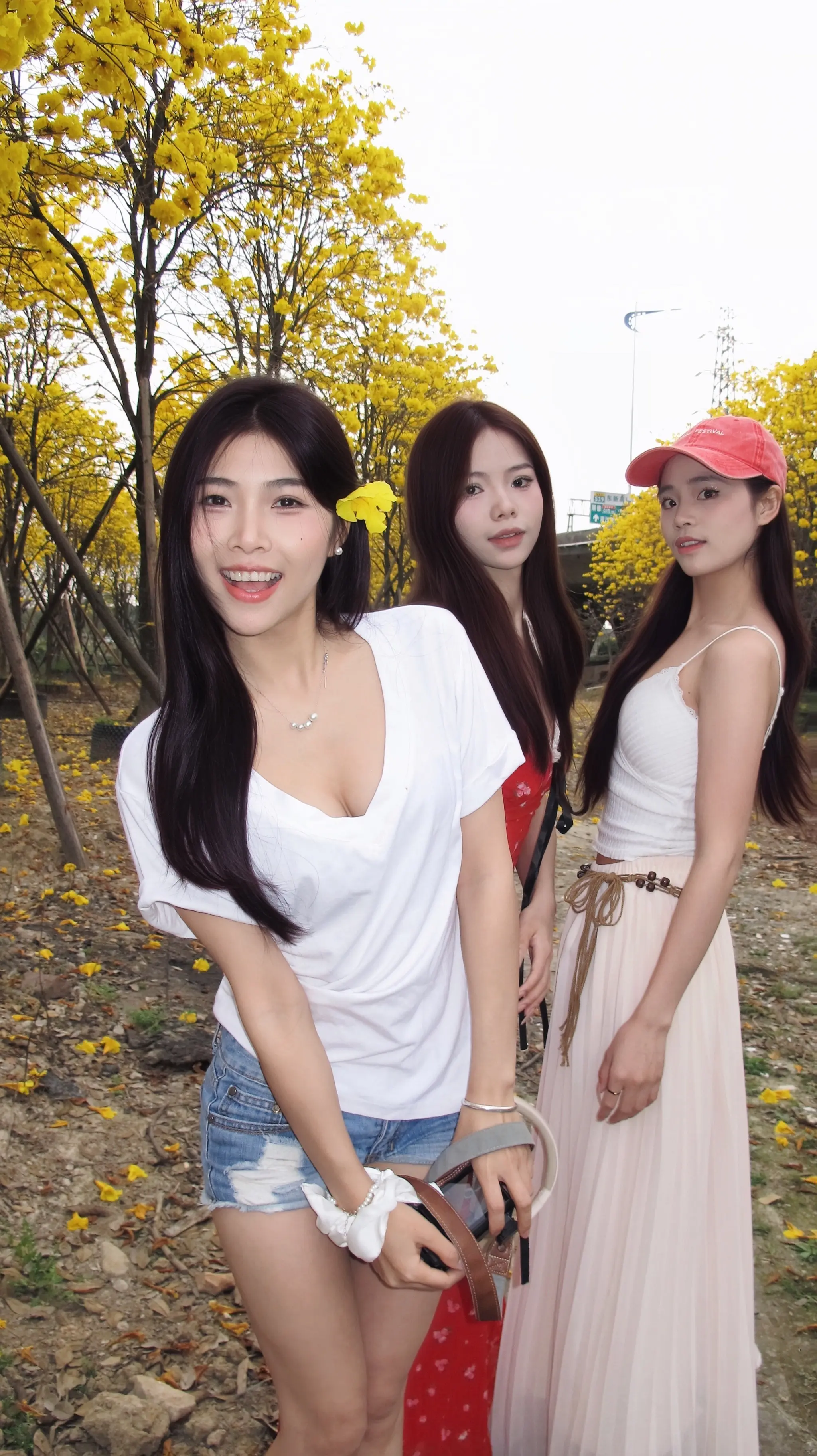 黄铃花太美了吧