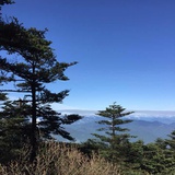素月爱谈娱乐